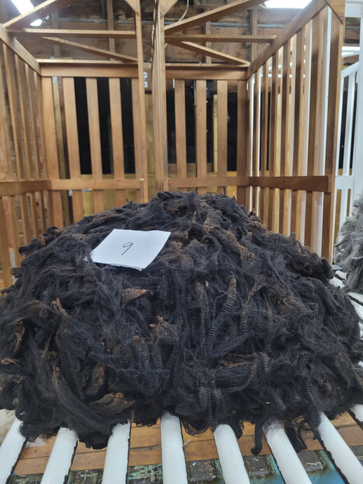 Haunui - Warm Black Hogget