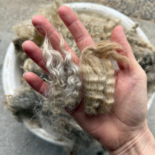 RAW WOOL: Popcorn