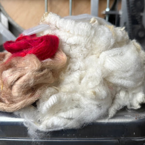 GUTS: Rambouillet x Targhee Lamb