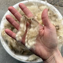 RAW WOOL: Elizabeth