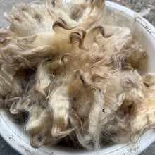 RAW WOOL: Elizabeth