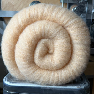 MEGA BATT: Horned Dorset & Eri