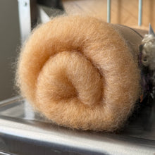 GLOW: BFL Lamb & Red Eri