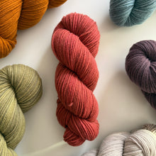 LIMITED: REMEDY 3ply Hand Dyed by Bramble Ridge