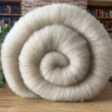 MEGA BATT: Shetland x Gotland x BFL (halo)